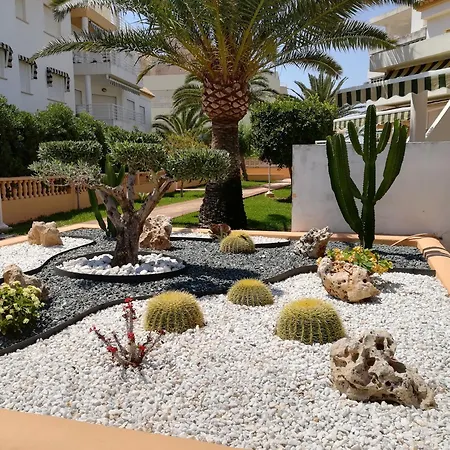 Talima - Btb * Dénia