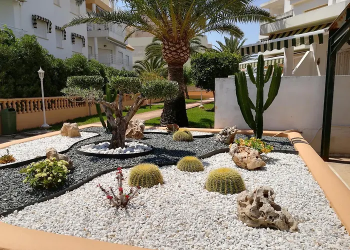 Talima - Btb * Denia